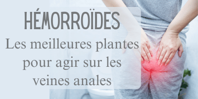 Hémorroïdes: les meilleures plantes pour agir sur les veines anales